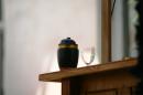 Pinard et Philo de Comptoir 23 * 4368 x 2912 * (3.18MB)